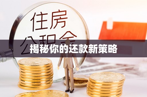 鼓楼揭秘你的还款新策略