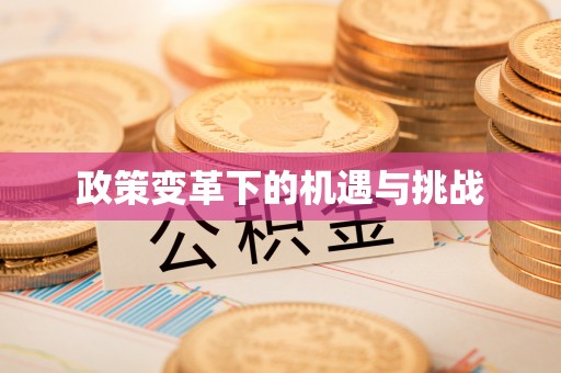 鼓楼政策变革下的机遇与挑战