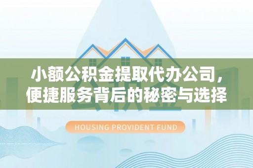 鼓楼小额公积金提取代办公司，便捷服务背后的秘密与选择指南