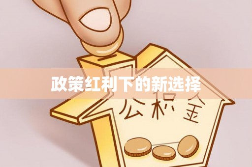 鼓楼政策红利下的新选择