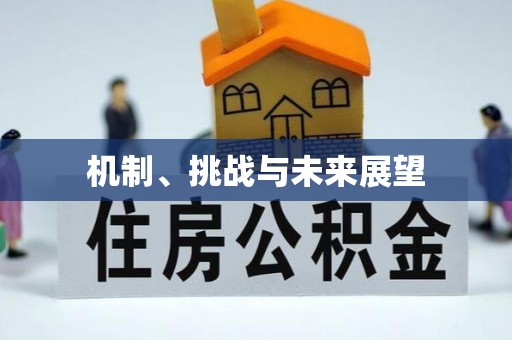 鼓楼机制、挑战与未来展望